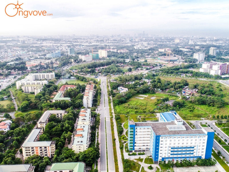 Các Lĩnh Vực Đào Tạo