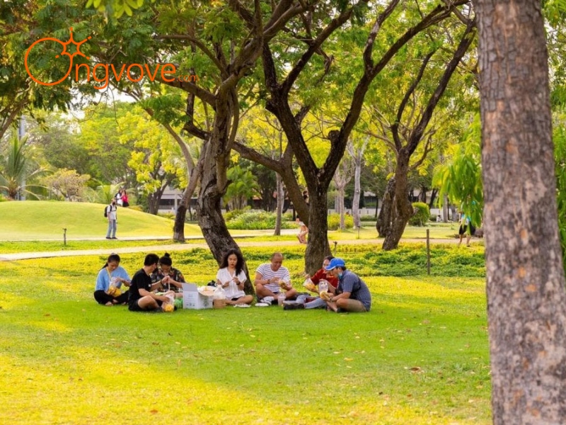 Hồ Bán Nguyệt - Cầu Ánh Sao có gì chơi?