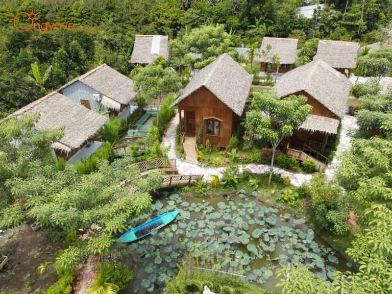 Kinh Tế Xanh Từ Vườn Hoa Mường Đình Ninh Bình