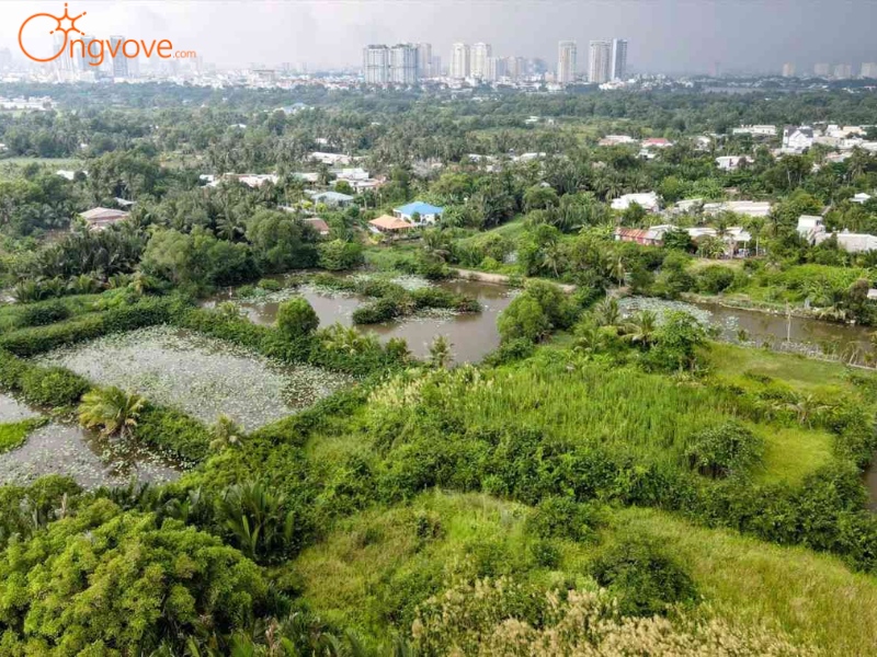 Lịch Sử Hình Thành Công viên Bán đảo Thanh Đa