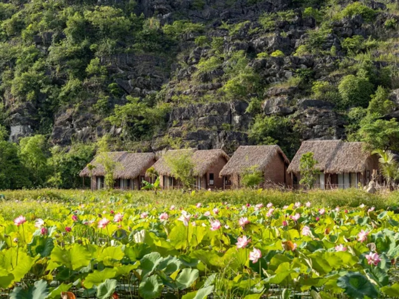 Ong Vò Vẽ Travel Chuyên Cung Cấp Thông Tin Tour, Địa Điểm Du Lịch Vườn Hoa Mường Đình Ninh Bình Tự Túc