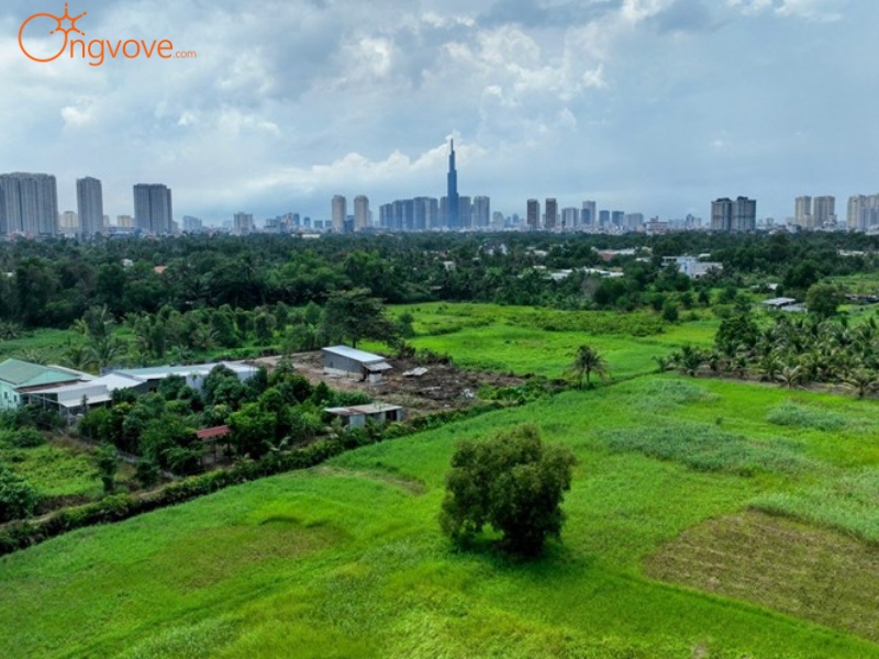 Sử Dụng Dịch Vụ Du Lịch "Công viên Bán đảo Thanh Đa" Tại Nền Tảng Ong Vò Vẽ Travel​ 