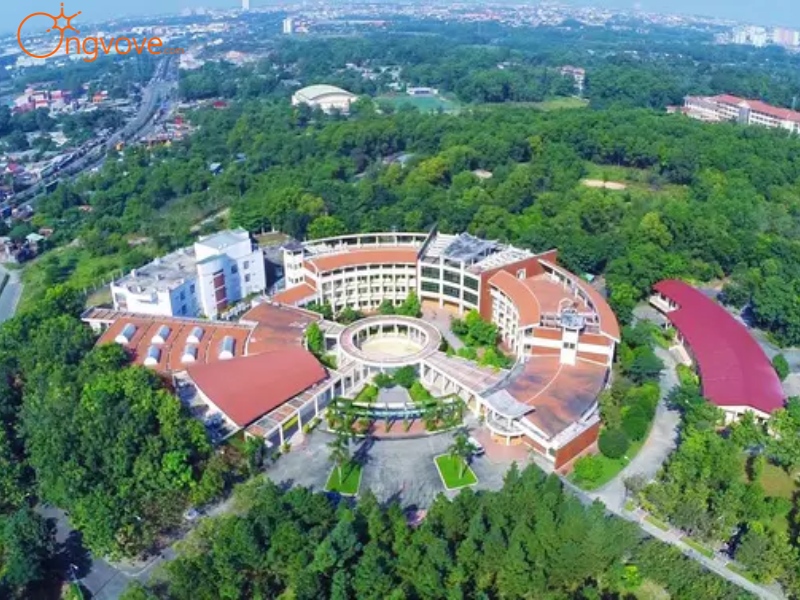 Sử Dụng Dịch Vụ Du Lịch "Đại học Quốc gia TP.HCM" Tại Nền Tảng Ong Vò Vẽ Travel