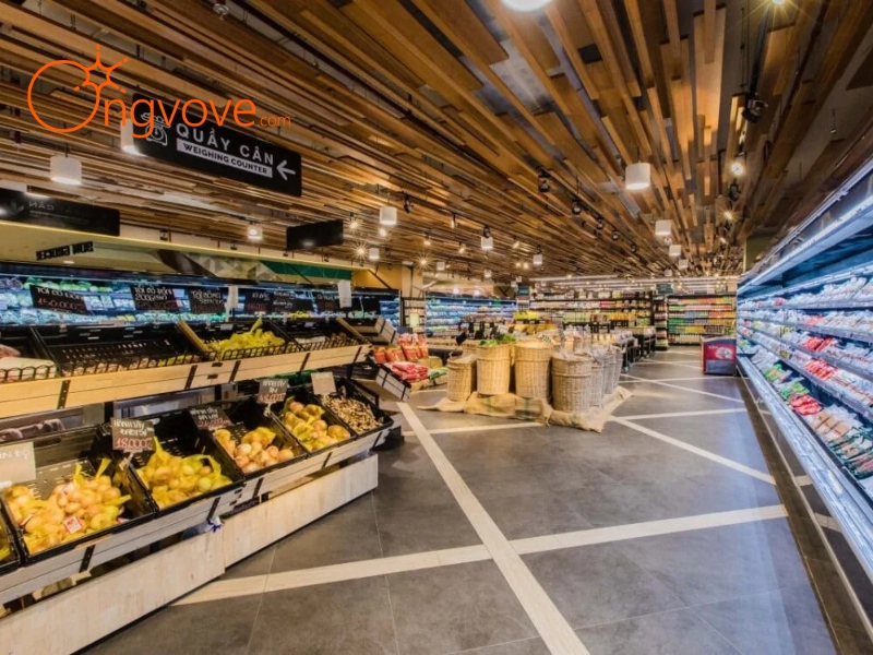 Sử Dụng Dịch Vụ Du Lịch "Intresco Plaza quận 3" Tại Ong Vò Vẽ Travel