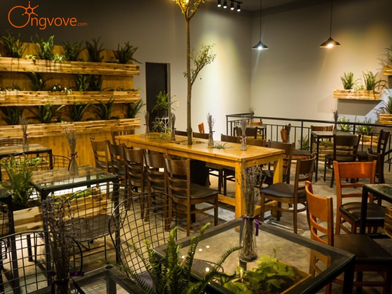 Thông Tin Về The Coffee & Tea Station Quận 11