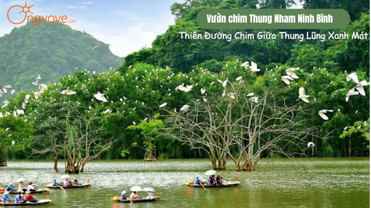 Vườn chim Thung Nham Ninh Bình
