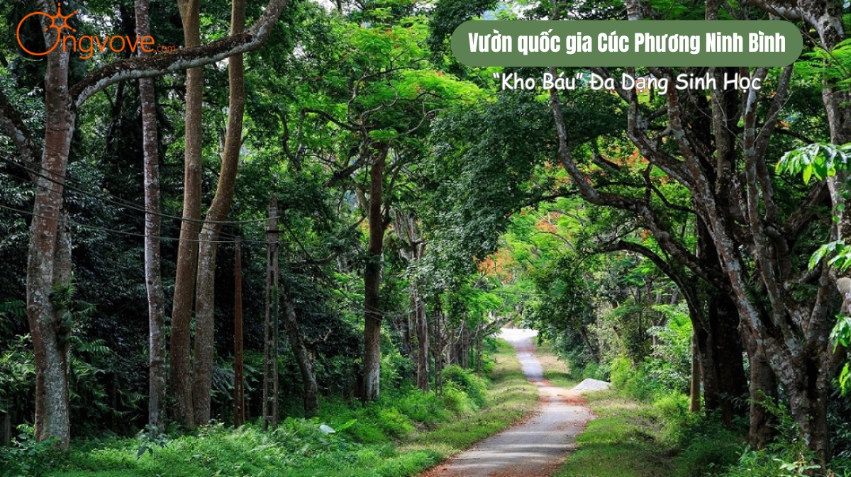 Vườn quốc gia Cúc Phương Ninh Bình
