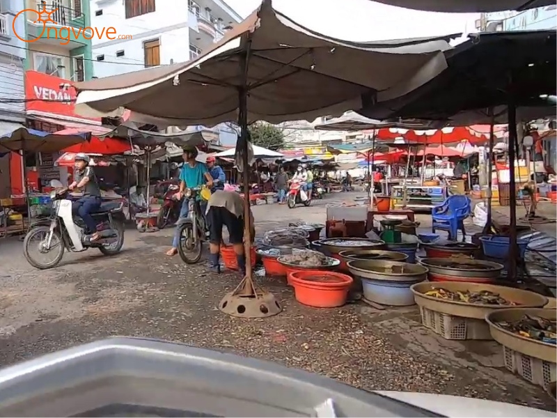 Cách Di Chuyển Đến Chợ Phú Lâm