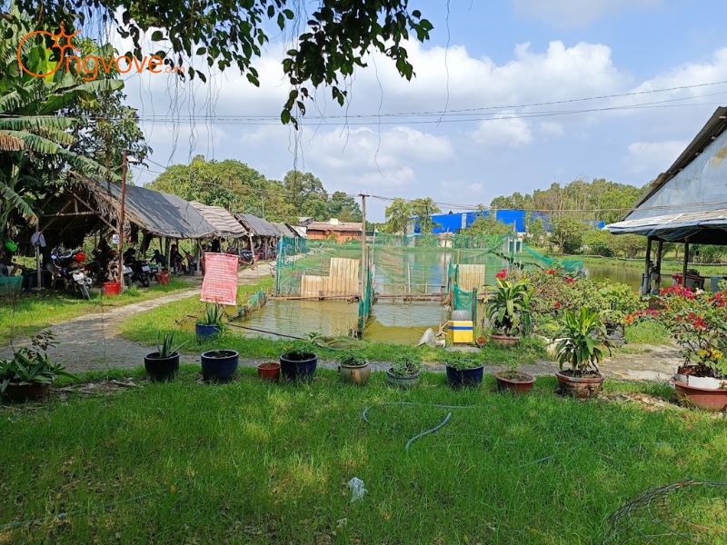 Khám Phá Không Gian và Hoạt Động Giải Trí Tại Hồ Câu Út Phương