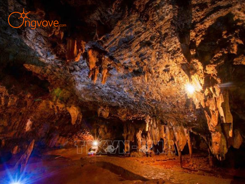 Dịch Vụ Lưu Trú & Lựa Chọn Nghỉ Dưỡng Gần Động Tiên Phi Hòa Bình
