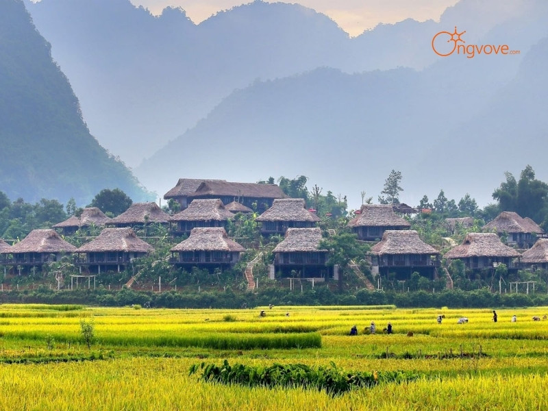 Hoạt Động Du Lịch & Các Điểm Tham Quan Gần Động Tiên Phi Hòa Bình