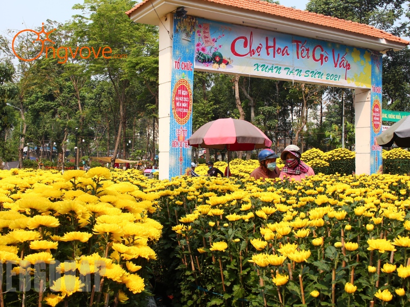 Kinh Nghiệm Khi Đến Làng Hoa Gò Vấp