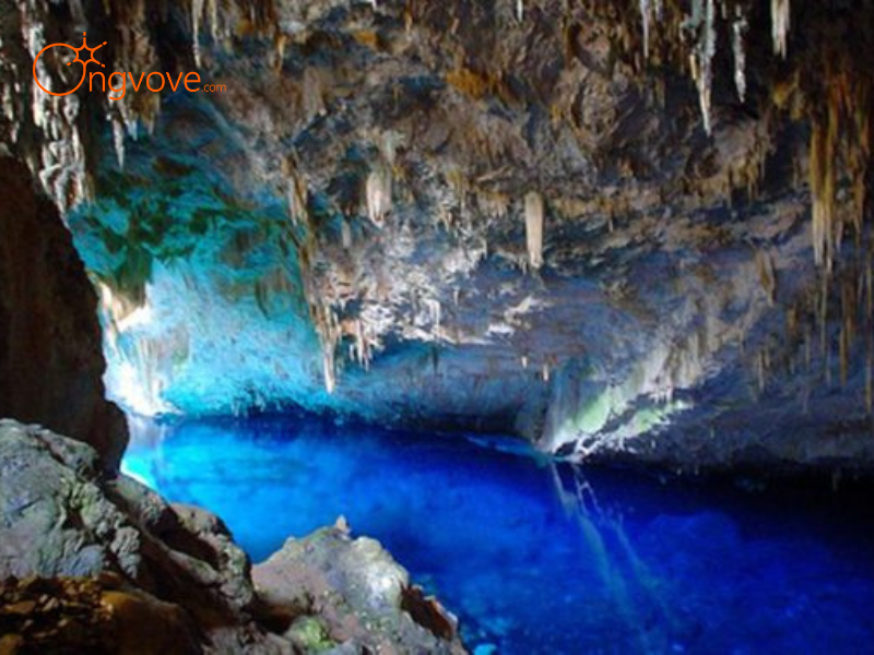 Ong Vò Vẽ Travel Chuyên Cung Cấp Thông Tin Tour, Địa Điểm Du Lịch Tại Động Tiên Phi Hòa Bình