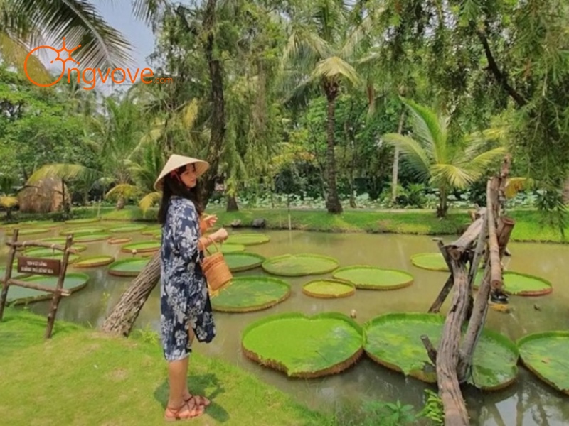 Sử Dụng Dịch Vụ Du Lịch "Khu du lịch Tân Cảng" Tại Nền Tảng Ong Vò Vẽ Travel