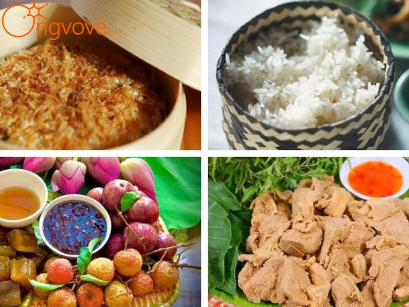 Ẩm Thực Hạ Hòa Phú Thọ: “Hương Vị Đậm Đà Bản Sắc Vùng Đất Tổ”