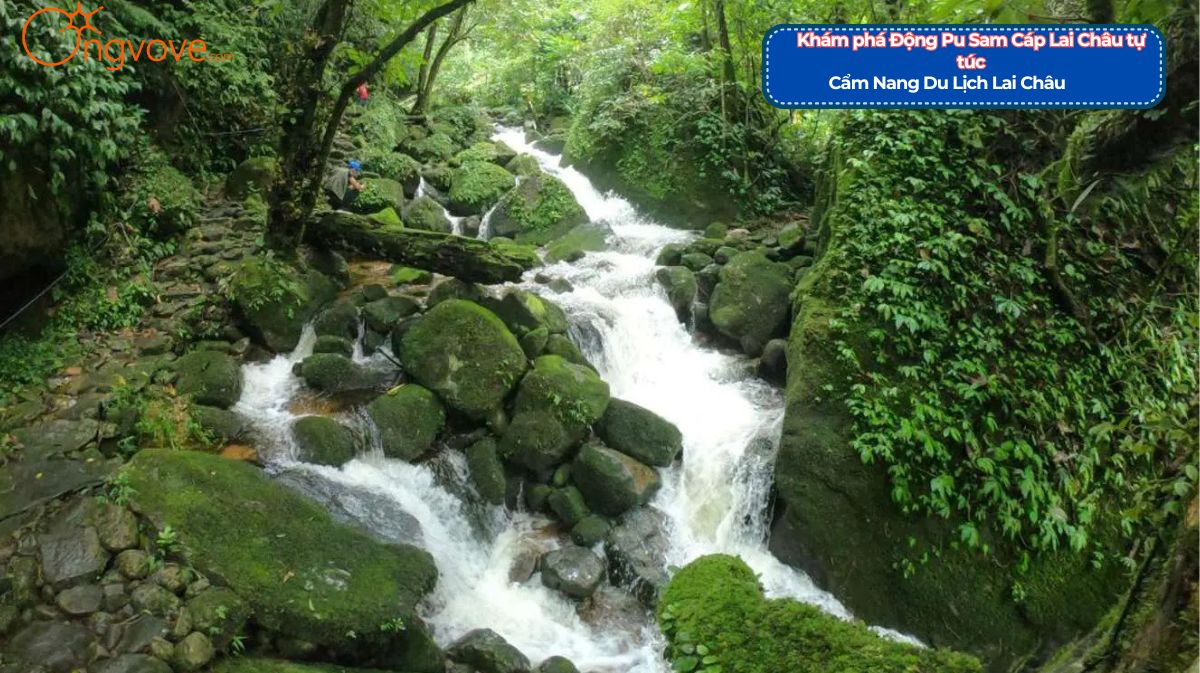 Khám Phá Tự Túc Vẻ Đẹp Hoang Sơ và Hữu Tình của Thác Trái Tim Lai Châu