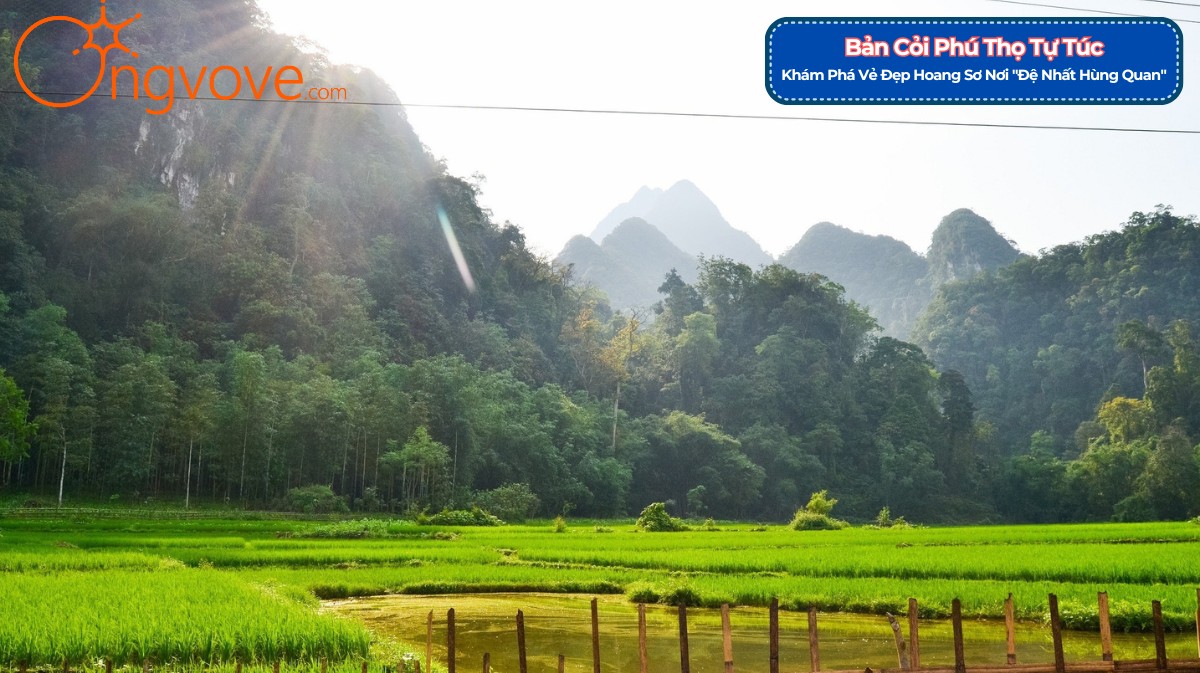 Khám phá Bản Cỏi Phú Thọ Tự Túc