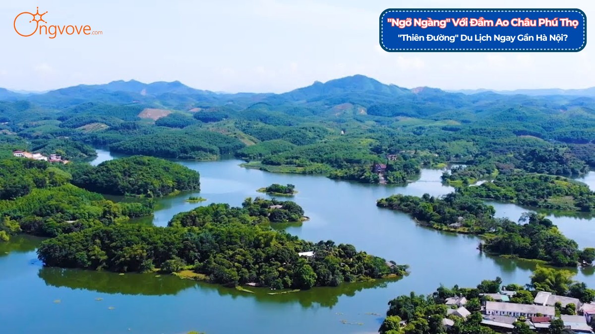 "Ngỡ Ngàng" Với Đầm Ao Châu Phú Thọ tự túc: "Thiên Đường" Du Lịch Ngay Gần Hà Nội?