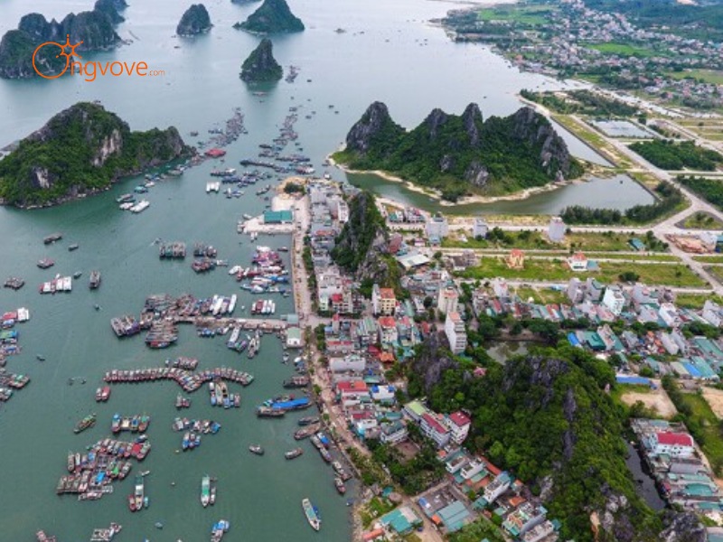 Các Địa Điểm Tham Quan Nổi Tiếng Gần Chợ Cái Rồng Quảng Ninh