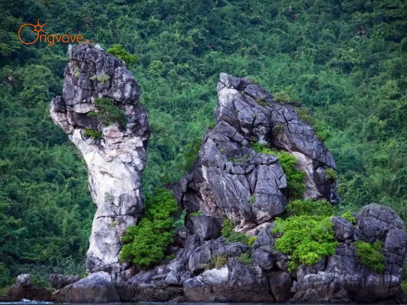 Các Địa Điểm Tham Quan Nổi Tiếng Vườn Quốc Gia Bái Tử Long Quảng Ninh