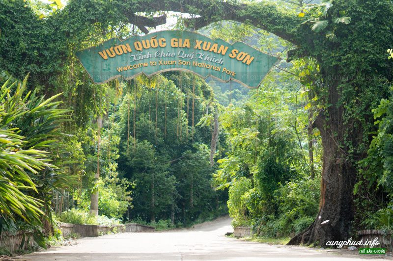 Các Địa Điểm Tham Quan Nổi Tiếng Tân Sơn Phú Thọ 