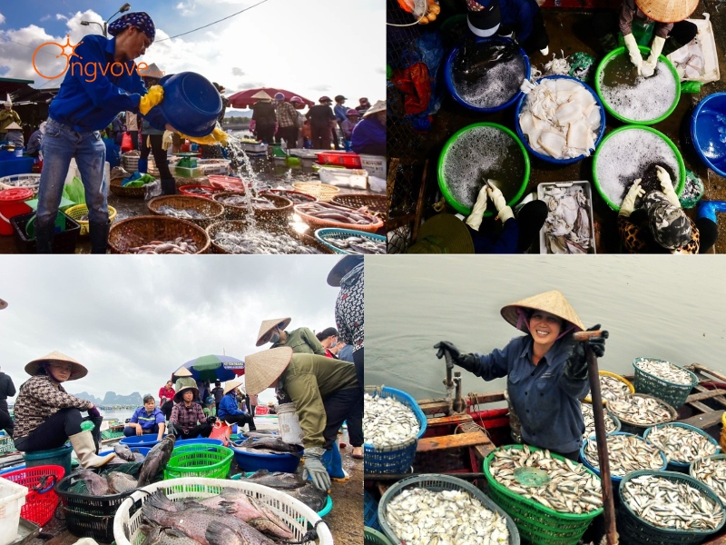 Các Dịch Vụ Lưu Trú Gần Chợ Bến Do Quảng Ninh