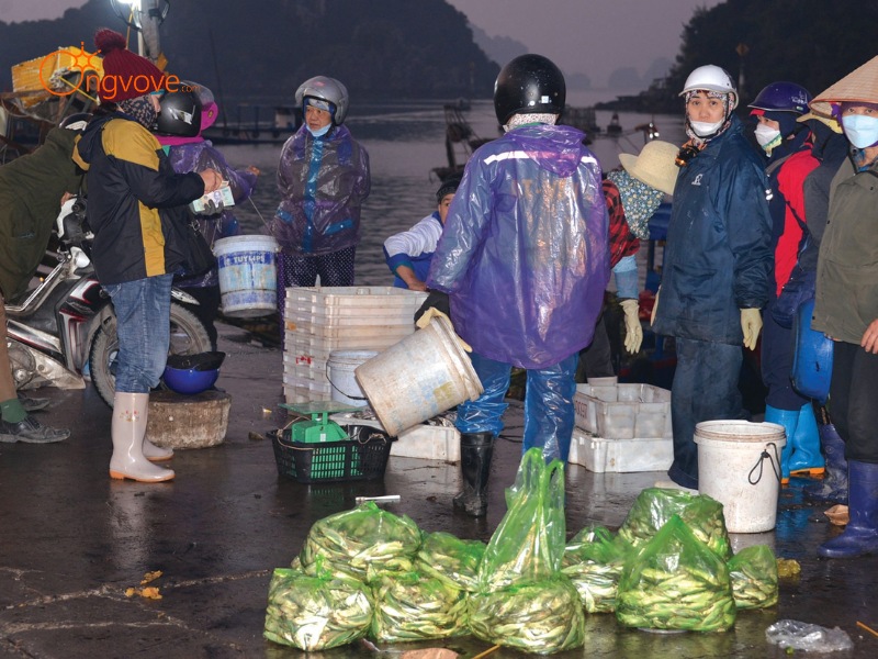 Các Dịch Vụ Lưu Trú Gần Chợ Cái Rồng Quảng Ninh: Tiện Nghi Cho Du Khách