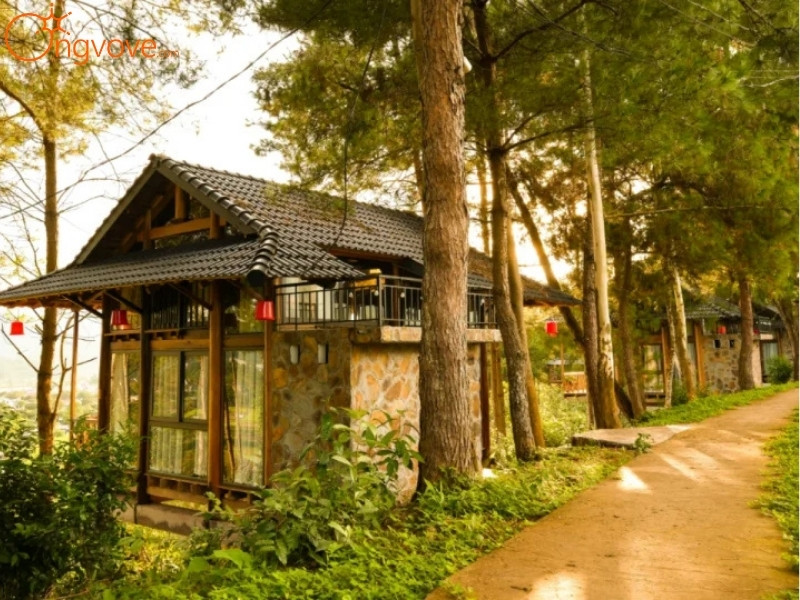 Các Dịch Vụ Lưu Trú Đồi chè Tân Uyên Lai Châu Tự Túc