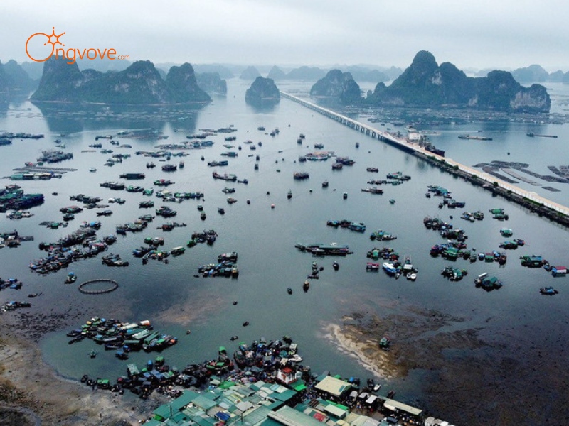 Giới Thiệu Chợ Bến Do Quảng Ninh
