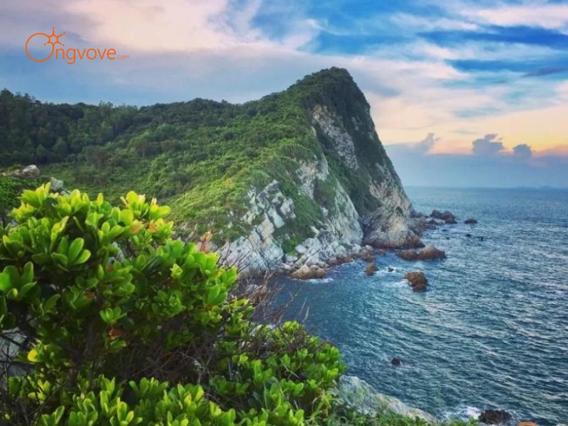 Giới Thiệu Đồi Vô Cực Quảng Ninh