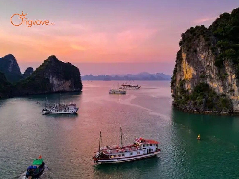 Giới Thiệu Vườn Quốc Gia Bái Tử Long Quảng Ninh