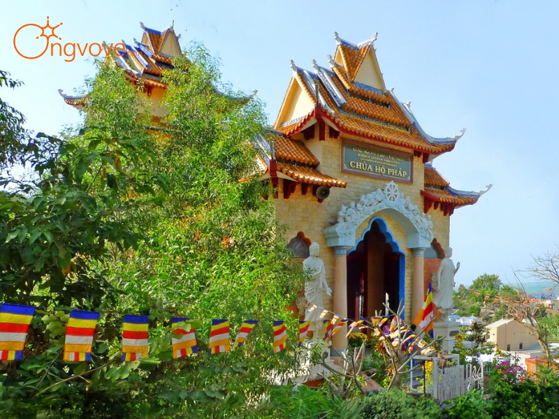 Hoạt động, lễ hội và trải nghiệm tâm linh tại chùa