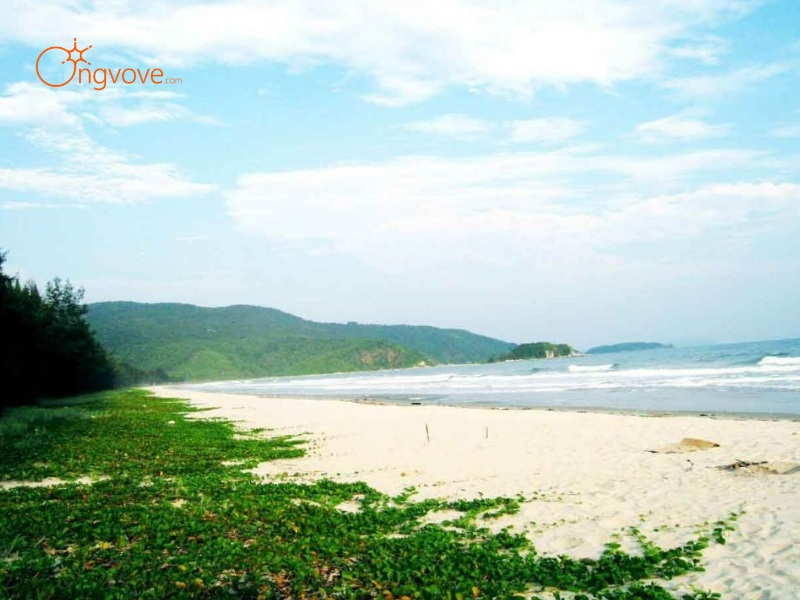 Kinh nghiệm du lịch Sơn Hào và những hoạt động không thể bỏ lỡ: