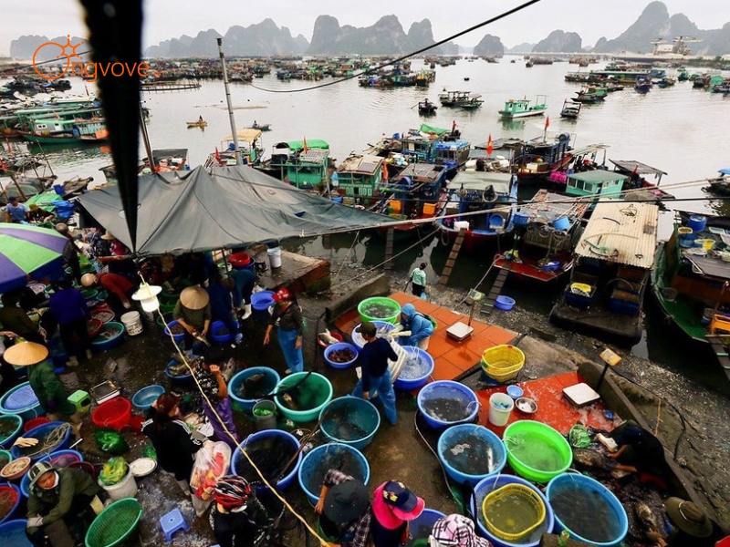 Kinh Tế Chợ Bến Do Quảng Ninh