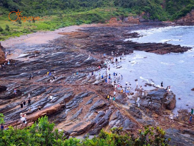 Kinh Tế Khu Vực Bãi Đá Móng Rồng Quảng Ninh