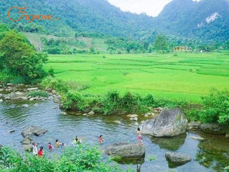 Lịch Sử Bản Cỏi Phú Thọ: Dấu Ấn Thời Gian Trên Vùng Đất Hùng Thiêng
