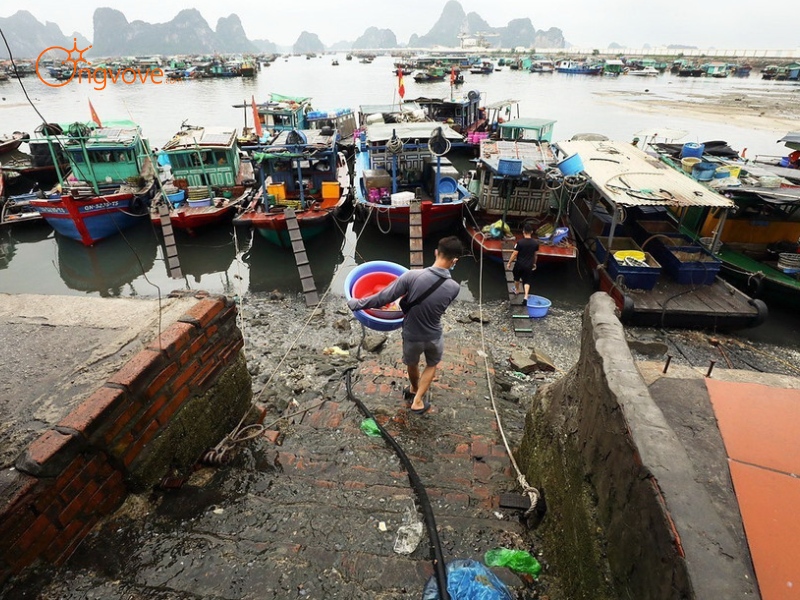 Lịch Sử Chợ Bến Do Quảng Ninh