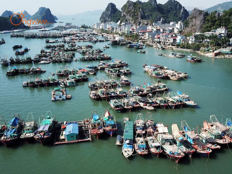 Lịch Sử Chợ Cái Rồng Quảng Ninh