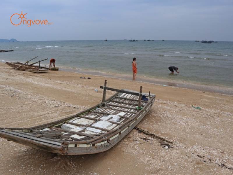 Lịch Sử Đảo Vĩnh Thực Quảng Ninh