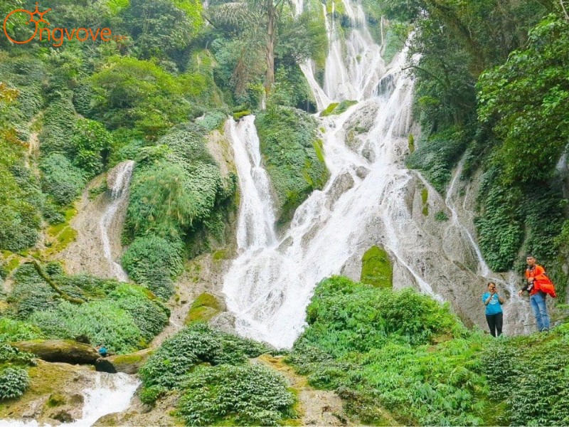 Ong Vò Vẽ Travel - Người Bạn Đồng Hành Tin Cậy