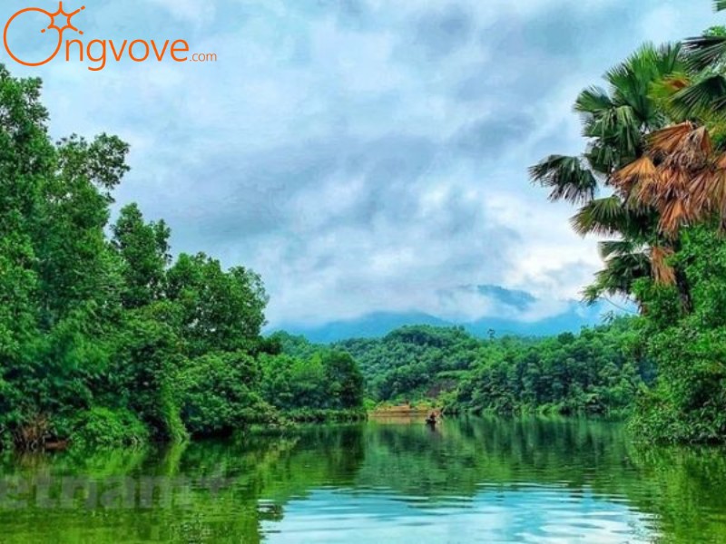 Ong Vò Vẽ Travel: Chuyên Cung Cấp Thông Tin Tour, Địa Điểm Du Lịch Tại Hạ Hòa Phú Thọ Tự Túc