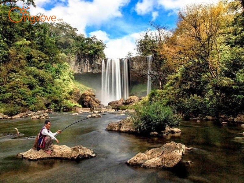 Ong Vò Vẽ Travel chuyên cung cấp tour, địa điểm du lịch tại Bản Cỏi Phú Thọ Tự Túc