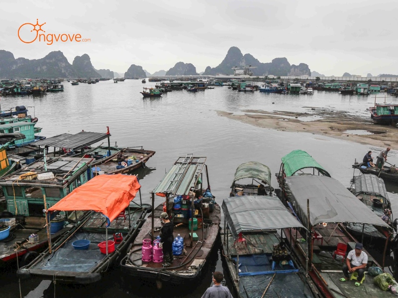 Phương Tiện Di Chuyển Đến Chợ Bến Do Quảng Ninh