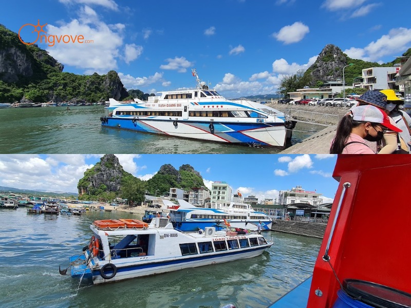 Phương Tiện Di Chuyển Đến Chợ Cái Rồng Quảng Ninh