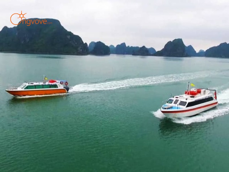 Phương Tiện Di Chuyển Đồi Vô Cực Quảng Ninh