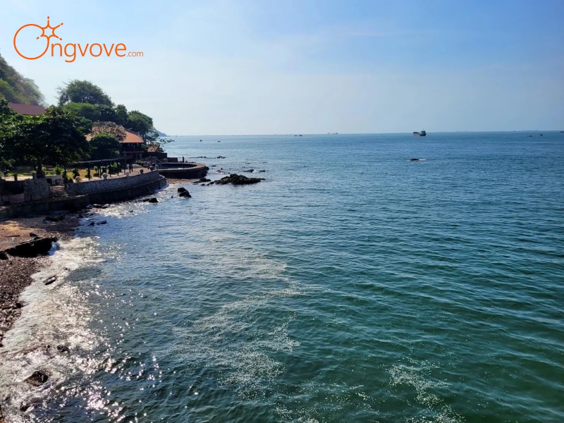 Sử dụng dịch vụ du lịch “Bãi biển Vũng Tàu” tại nền tảng Ong Vò Vẽ Travel