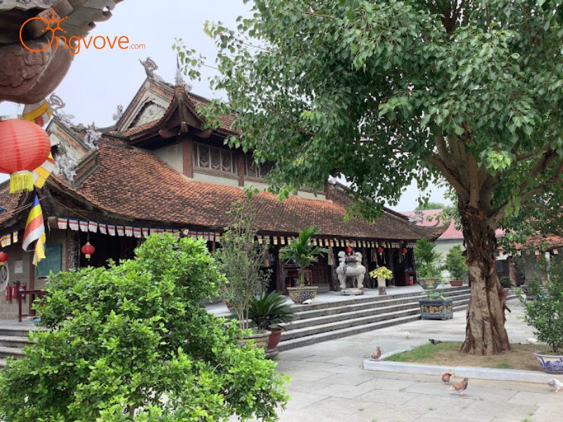 Thời gian nào nên đi Đền Tam Giang Phú Thọ