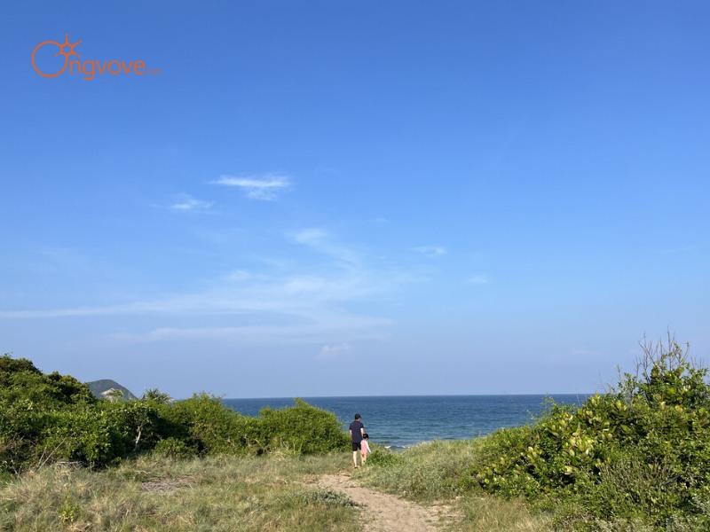 Thời Tiết Bãi Trinh Sát Quảng Ninh