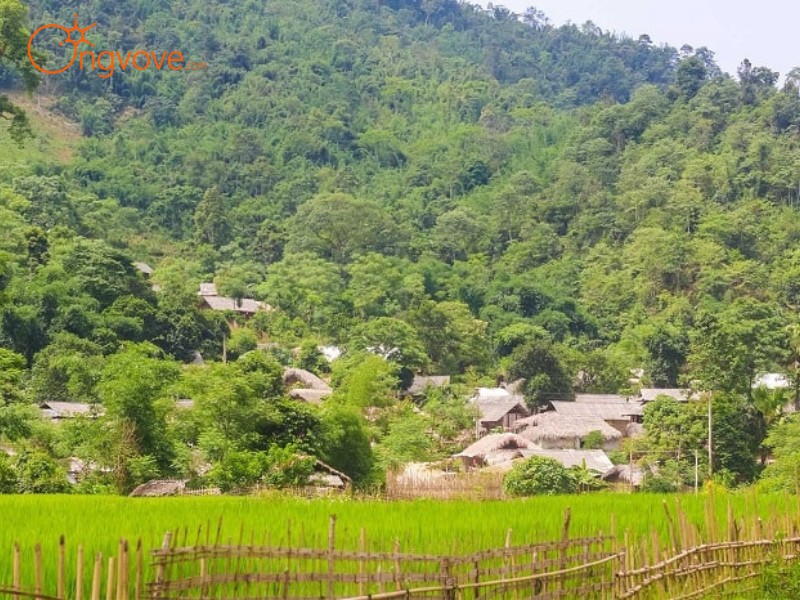 Thời Tiết Bản Cỏi Phú Thọ: Chọn Thời Gian Lý Tưởng Cho Chuyến Đi