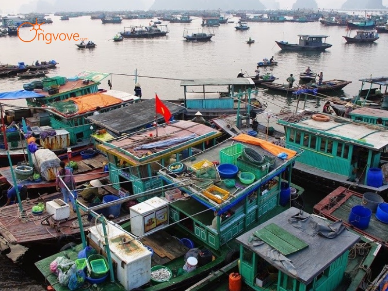 Thời Tiết Chợ Bến Do Quảng Ninh